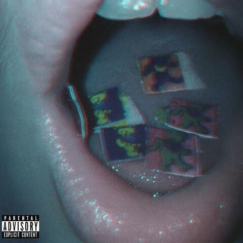 The Polaroid House album art