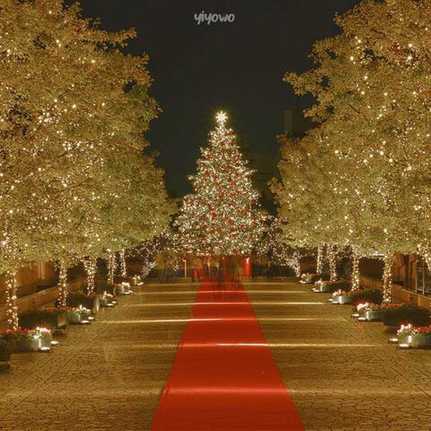 11月のクリスマス album art