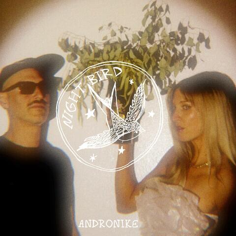 NIGHTBIRD album art