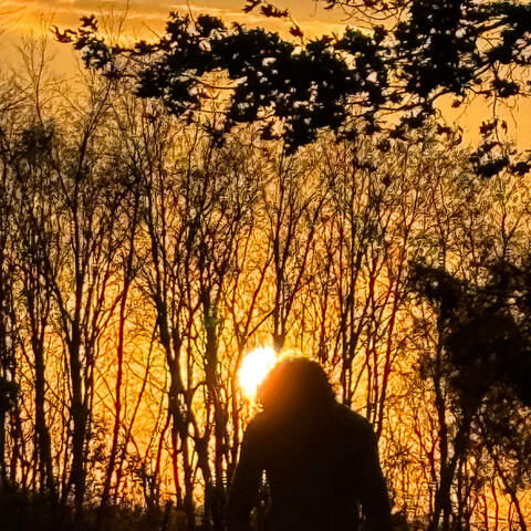 cash flowww album art