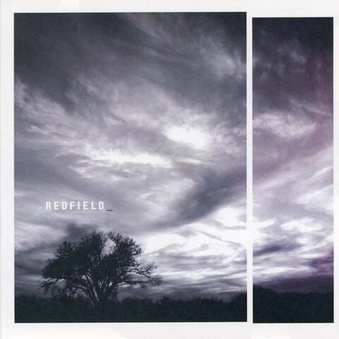 Lost Sight album art