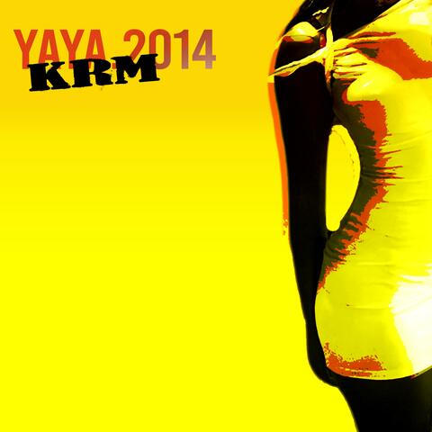 YAYA.2014 album art