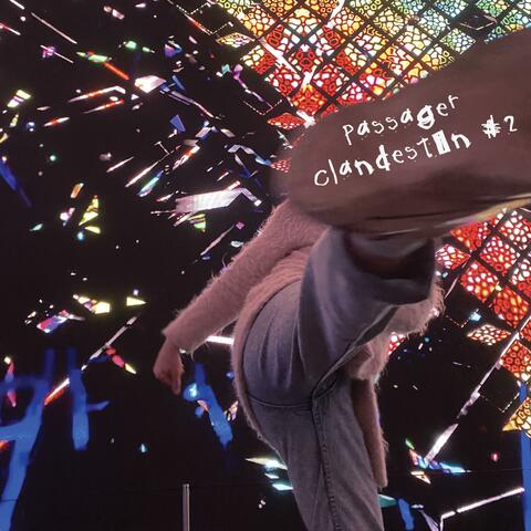 Passager Clandestin #2 album art