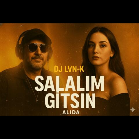 Salalım Gitsin (Bu Kalp Yotgun) (feat. Alida) album art