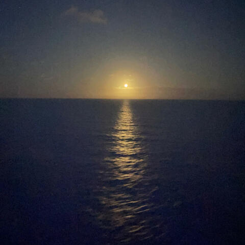 More Than You Know album art