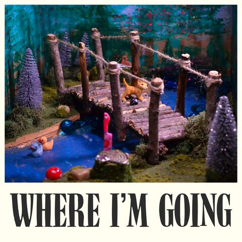 Where I'm Going album art