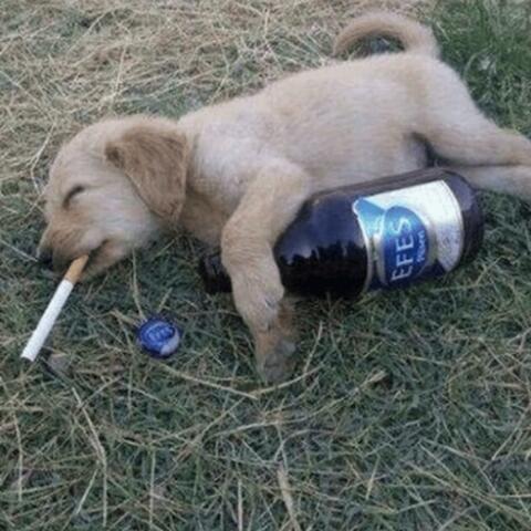 Worst Of All album art