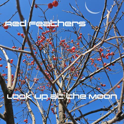 Look up at the Moon album art