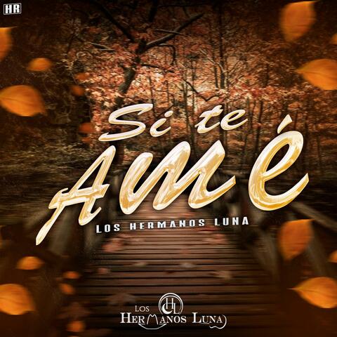 Si Te Ame album art