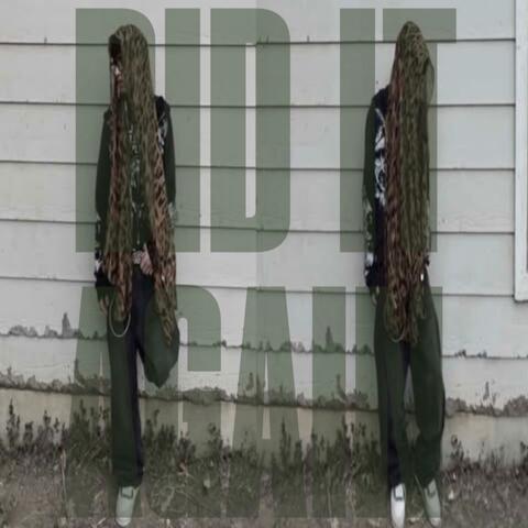 Did It Again album art