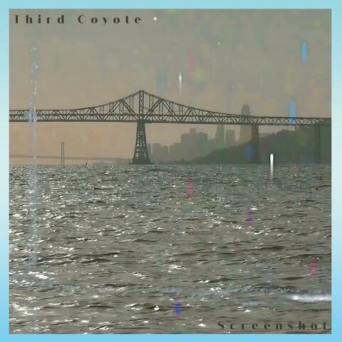 Screenshot album art