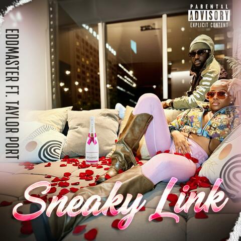 Sneaky Link (feat. Mx. Taylor Portt) album art