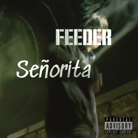 Señorita album art