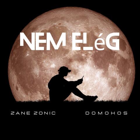 Nem elég (feat. Domokos) album art