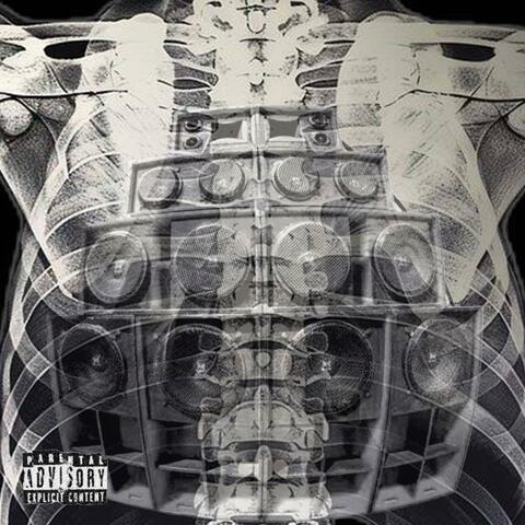 Beefin Wit My Organs album art