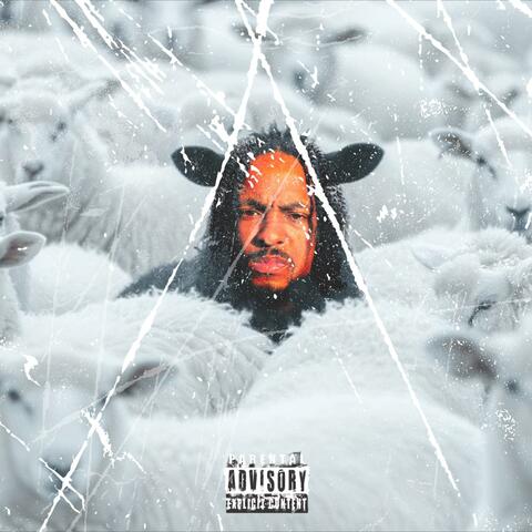 Shepherd Pie album art