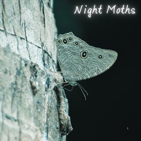 Night Moths album art