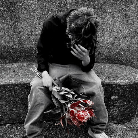 won't you choose me? album art