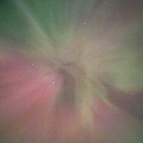 fivehundredmillyvanilliesofadderall album art