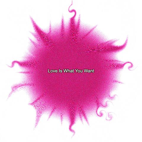 Love Is What You Want album art