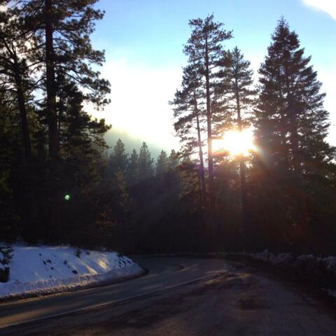 unhealthee album art