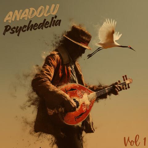 Anadolu Psychedelia, Vol. 1 album art