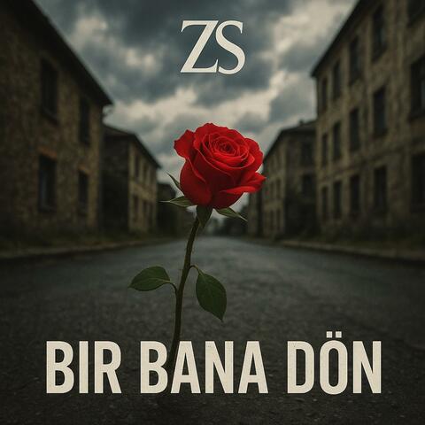 Bir Bana Dön album art