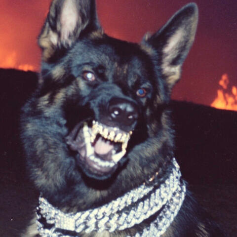 Heaven Hound album art