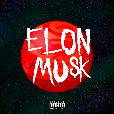 ELON MUSK album art
