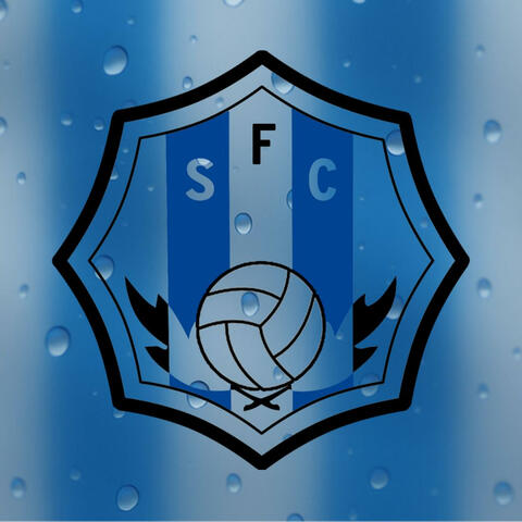 Himne Santfeliuenc FC (Del Santfe al cel) album art