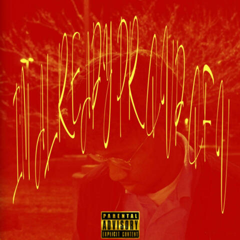 REASONABLES & CRASHOUTS album art