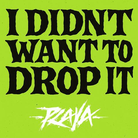 I DIDNT WANT TO DROP IT album art