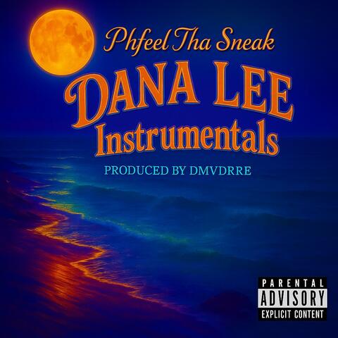DANA LEE Project(25) Instrumentals album art