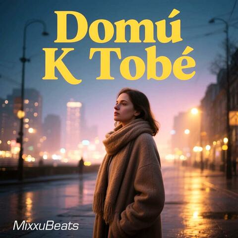 Domů K Tobě album art