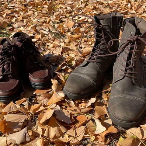 Wandering Soul (The Paradoxical Epiphany Of The Clandestine Troubadour) album art