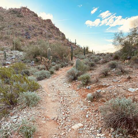 Pressing On album art