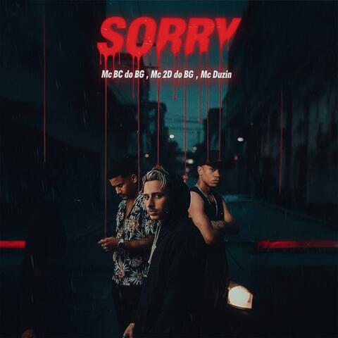 SORRY (feat. Mc 2D do BG & Mc Duzim) album art
