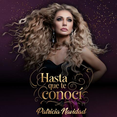 Hasta Que Te Conocí album art