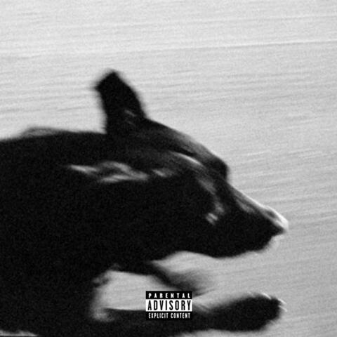 BIG DAWG SHIT album art