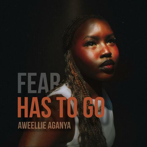 Fear Has To Go album art
