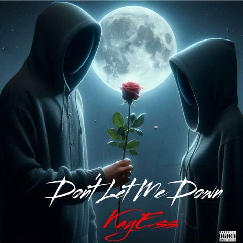 Don't Let Me Down album art