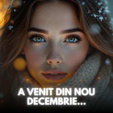 A venit din nou decembrie | Colind pentru un nou început album art