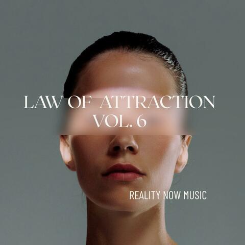 Law of Attraction, Vol. 6 album art