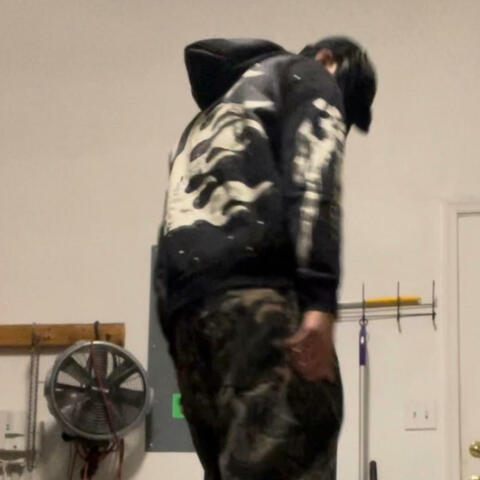 danny phantom album art