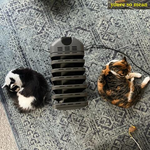 you're so mean album art