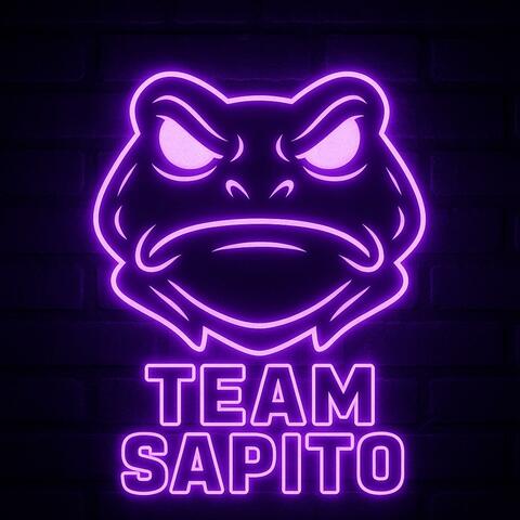 Team sapito album art