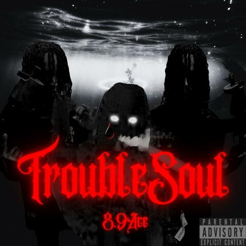 Trouble Soul album art