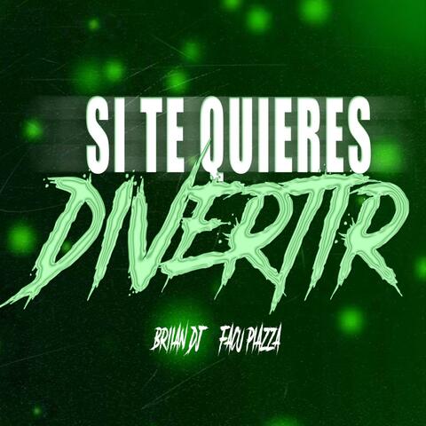Si Te Quieres Divertir Rkt (feat. BRIIAN DJ) album art