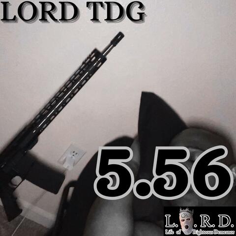 556 album art