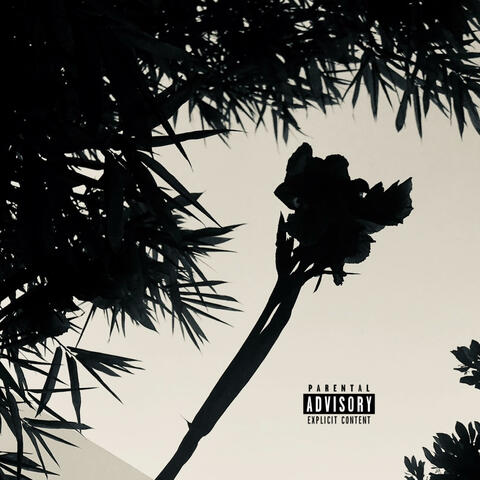 everything hurts (it's fine) (feat. feedbackotw) album art